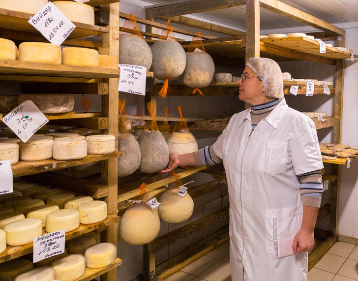 investire nel settore agroalimentare in Russia nicche da valutare